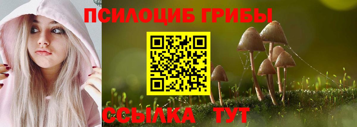 Галлюциногенные грибы GOLDEN TEACHER  Вход с VPN  Ахтубинск 
