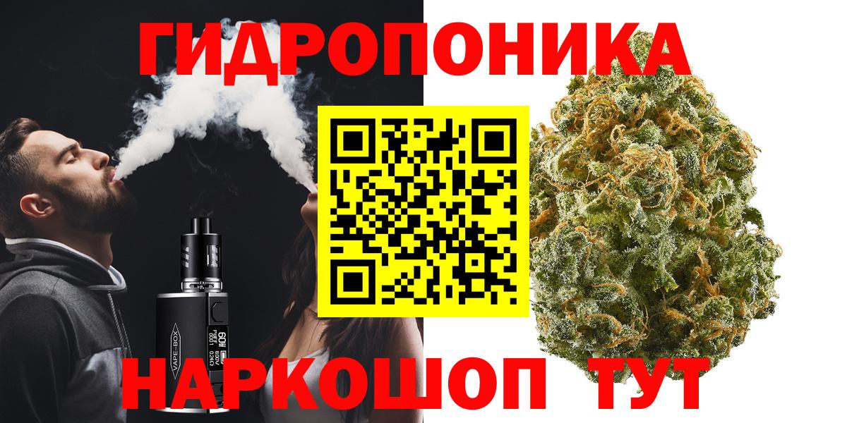 Шишки марихуана планчик  Бошки Шишки сатива  Канабис план  Вход с VPN  Ахтубинск  Шишки марихуана LSD WEED 